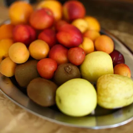 호텔 Continental 3*